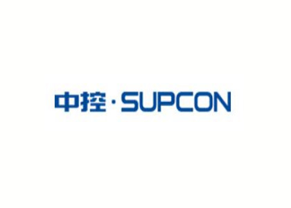 内控专家